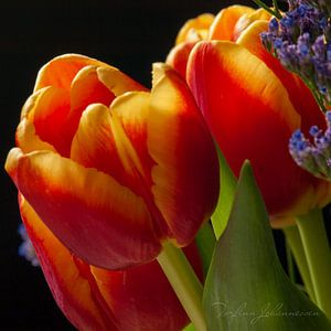 Délice de printemps