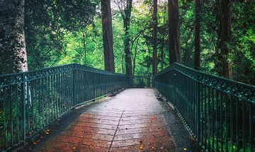 Een brug in het bos in het mooie Inverness, Schotland. van Jakob Baranowski - Photography - Video - Photoshop