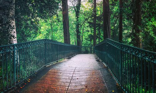 Een brug in het bos in het mooie Inverness, Schotland.