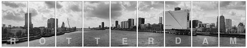 Panorama van Rotterdam