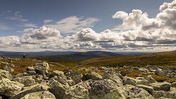 Uitzicht over het berglandschap in het Städjan-Nipfjället natuurreservaat in Dalarna, Zweden van Bram Lubbers