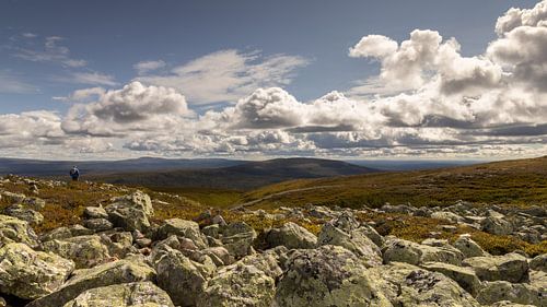 Uitzicht over het berglandschap in het Städjan-Nipfjället natuurreservaat in Dalarna, Zweden