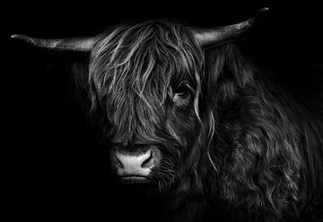 Schotse hooglander zwart wit van Bert Hooijer