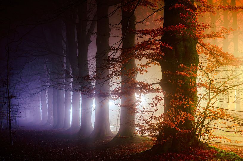 Bipolar by Tvurk Photography