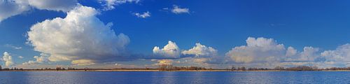 Biesbosch panorama