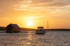 Sunset Purediving aruba 2