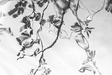 Reflectie (minimalistische spiegeling van takken en bladeren in zwart wit uitvoering) van Birgitte Bergman
