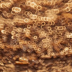 Gouden schelpen, abstract van Yanuschka | Fotografie Noordwijk