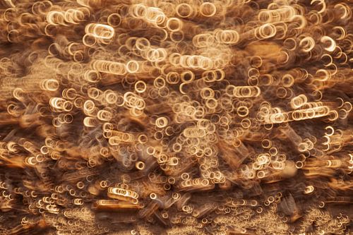 Goldene Muscheln, abstrakt von Yanuschka | Fotografie Noordwijk