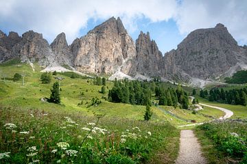 Bergpad naar de toppen bij Passo Gardena, Dolomieten van Stefano Orazzini