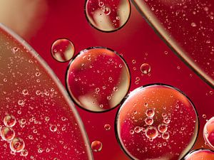 Bubbles and bubbles in warm colors: red and champagne