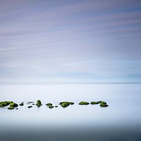 Silence  van Tony Ruiter