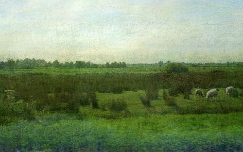 Bittersweet memories