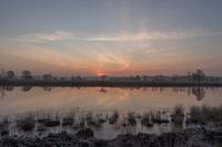 Koude zonsopkomst