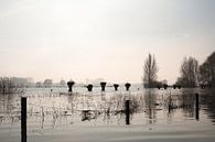 Hochwasser an der Ijssel Zutphen von Joke Absen Miniaturansicht