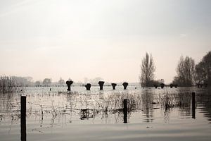 La crue des eaux à l'Ijssel Zutphen sur Joke Absen