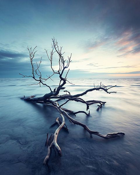 Strandspaziergang von fernlichtsicht