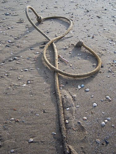 heart of rope