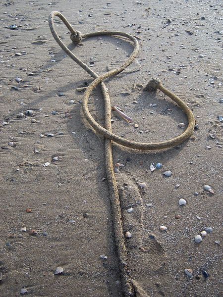 heart of rope by jannette lap