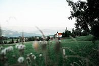 L'église près de Scheidegg en été par Rafaela_muc Aperçu