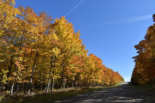 Eine Landstraße im Herbst