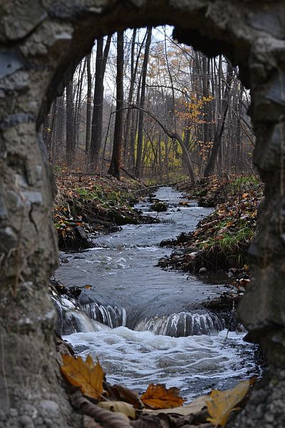 doorkijk van Imperial Art House