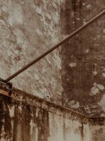 Pigeon in Disguise | Travel Photography Art Print in the City of Saint Tropez | Cote d’Azur, South of France
