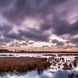 Chasing Clouds van Rutger Bus