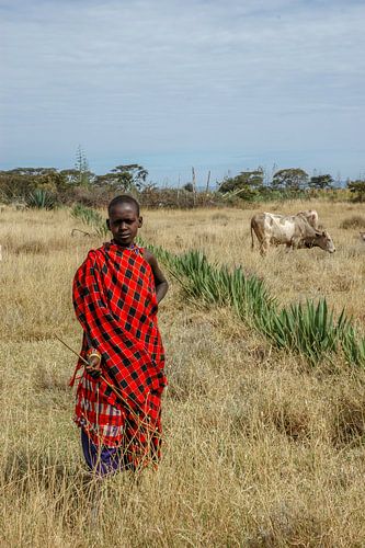 Masai meisje hoedt het vee