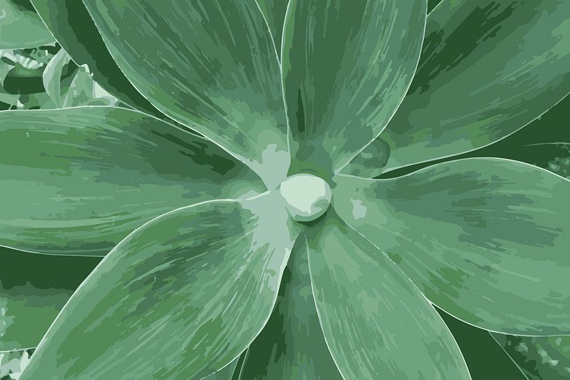Aloe Vera by StudioMaria.nl