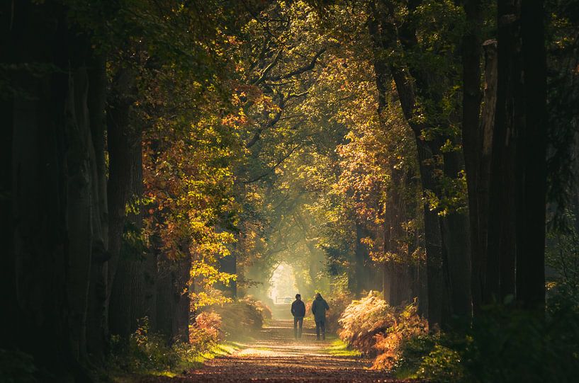 Herbstspaziergang von piet douma