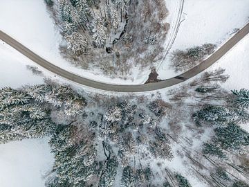 Bos met weg en sneeuw van Mustafa Kurnaz