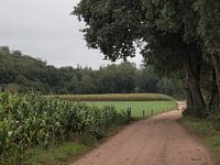 Route de campagne (Beek & Bultpad)