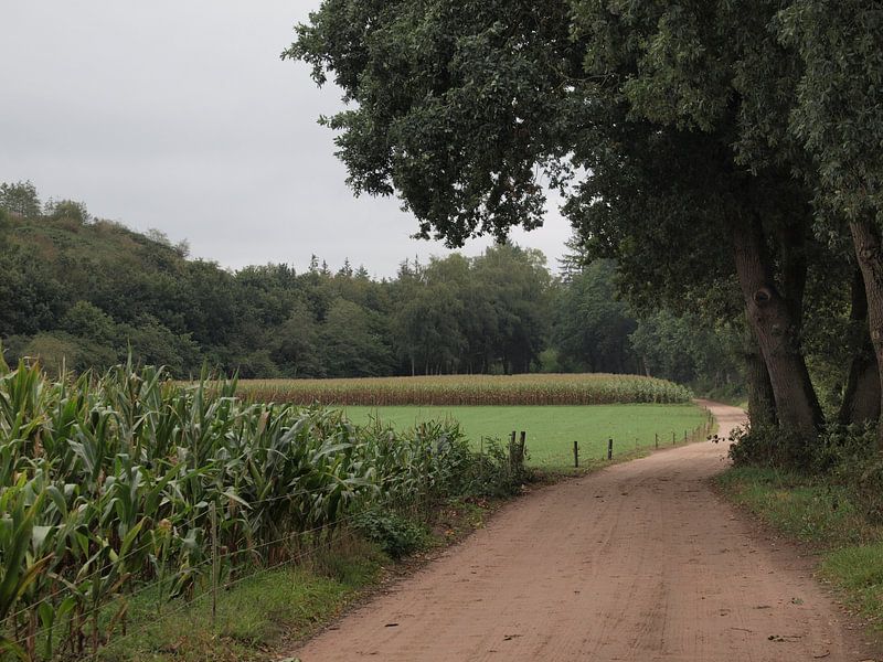 Country road (Beek &amp; Bultpad) by Annie Lausberg-Pater
