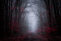 Dark symphony