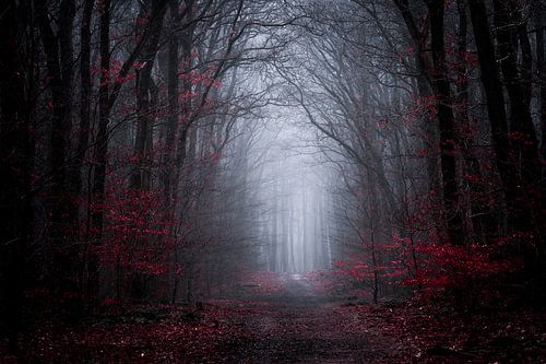 Dunkle Symphonie von Tvurk Photography