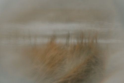 Artistic landscape photo Petten beach Netherlands