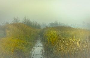 Misty morning von Teo Goudriaan