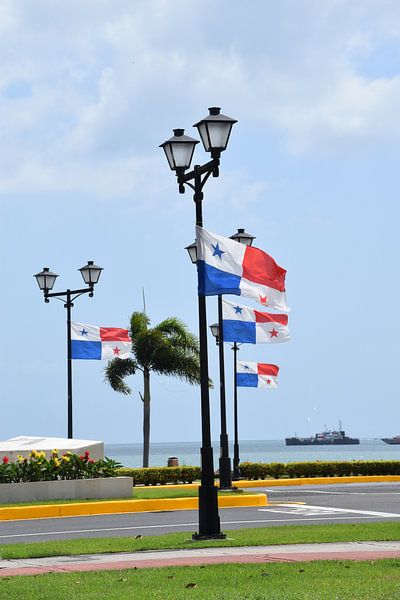 Des lampadaires de la ville et leurs drapeaux par Claude Laprise