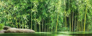 Meer in de groene bamboetuin van Dörte Bannasch