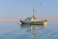 Oude drijvende boot bewoond door pelikanen van Jille Zuidema thumbnail
