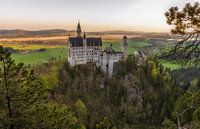Schloss Neuschwanstein von Els van Dongen Miniaturansicht