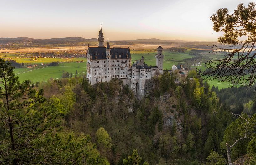 Schloss Neuschwanstein von Els van Dongen
