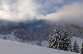 Sonnige Spitze von Guido Akster