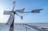 Windmolen in het weiland van Moetwil en van Dijk - Fotografie thumbnail