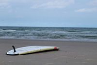Surfboard