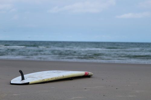 Surfplank