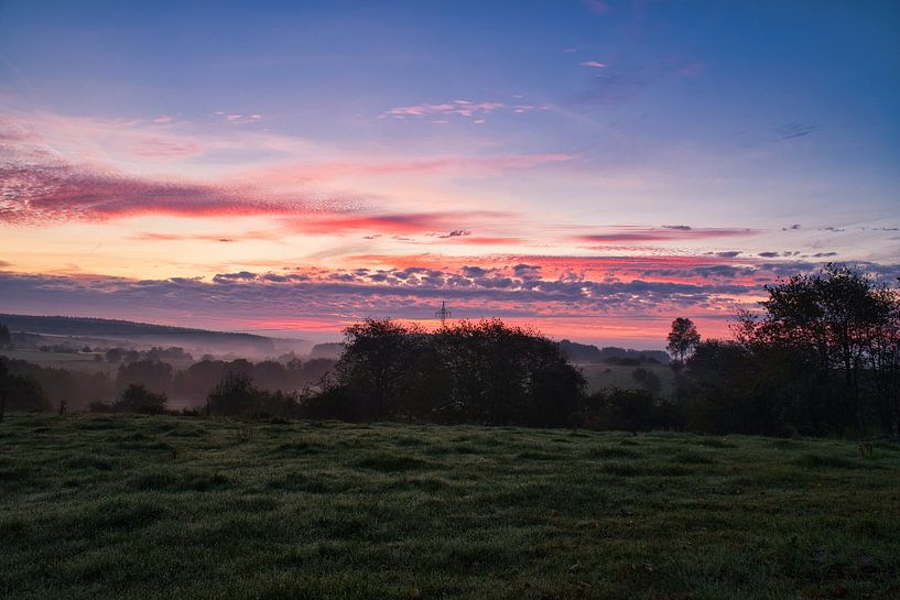 Boom in een weiland in de mist bij zonsopgang van Martin Köbsch