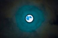 Blue moon van Stefan Antoni thumbnail