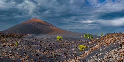 Vulkaan Chinyero, zone Arena Negras